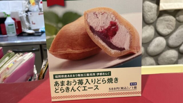 伊都きんぐのどらぎんぐエース