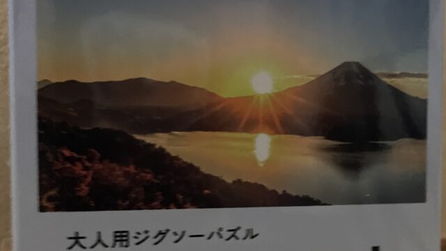 ダイソーの大人用ジグソーパズル300ピース