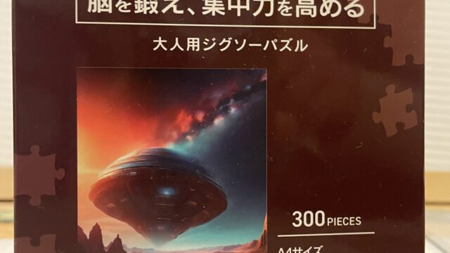 セリアの大人用ジグソーパズル300ピース砂漠柄