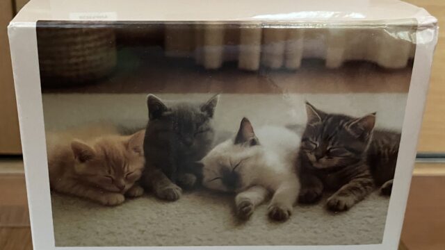 ダイソーの大人用ジグソーパズル432ピース子猫