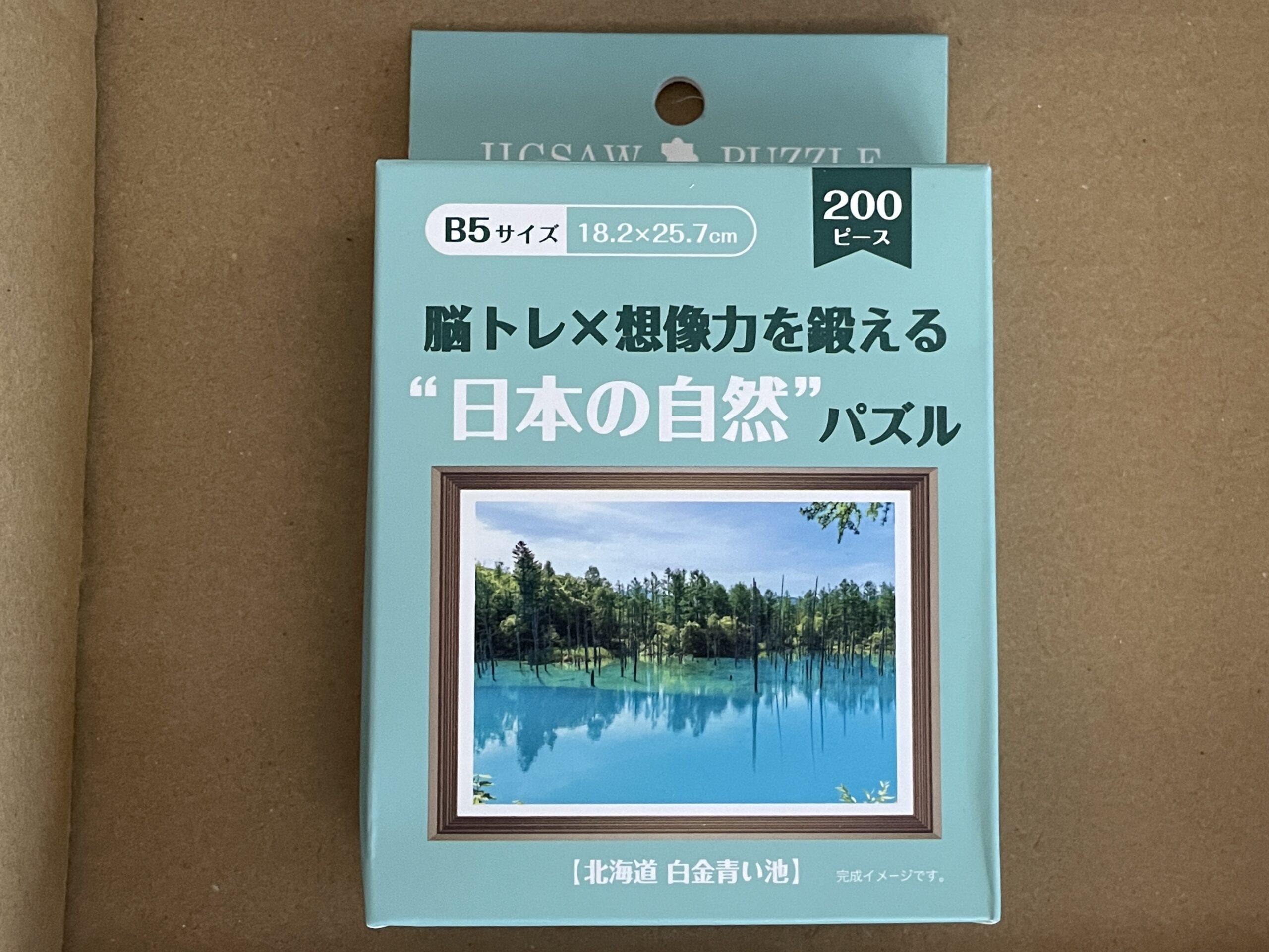 セリアの大人用ジグソーパズル200ピース北海道白金青い池